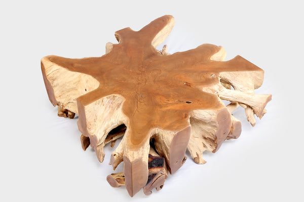 Square 36" Inch Organic Teak Root Coffee Table 52