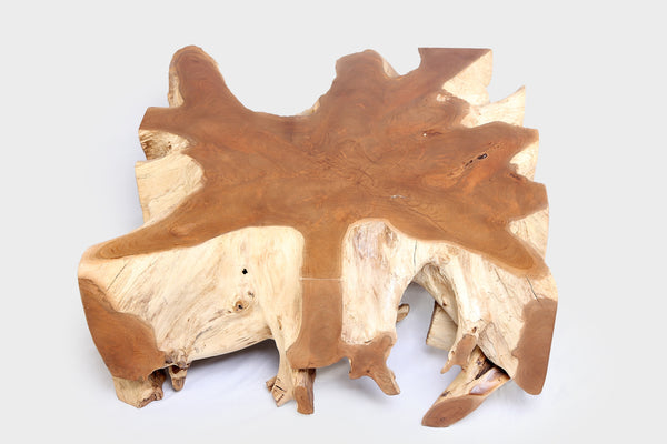 Square 36" Inch Organic Teak Root Coffee Table 52