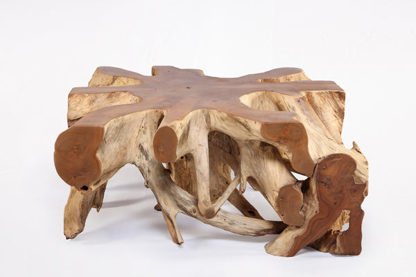 Square 36" Inch Organic Teak Root Coffee Table 53
