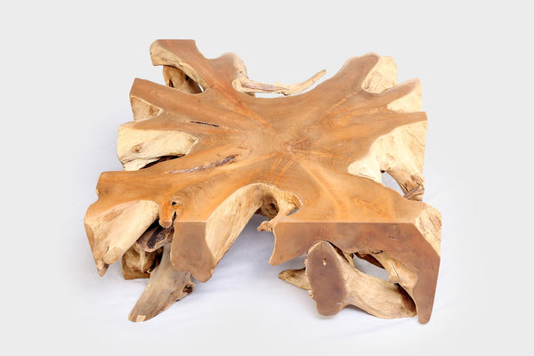 Square 36" Inch Organic Teak Root Coffee Table 54