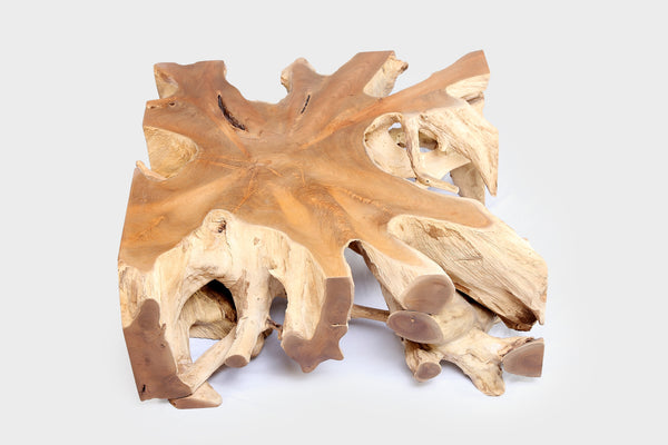 Square 36" Inch Organic Teak Root Coffee Table 54