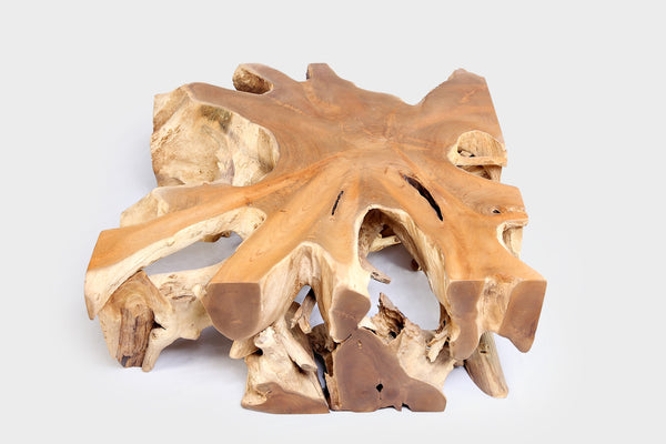 Square 36" Inch Organic Teak Root Coffee Table 54