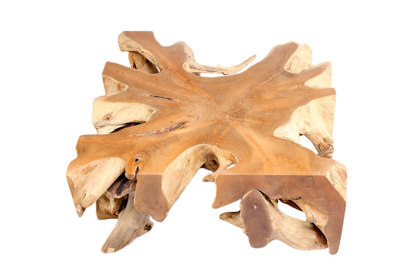 Square 36" Inch Organic Teak Root Coffee Table 54