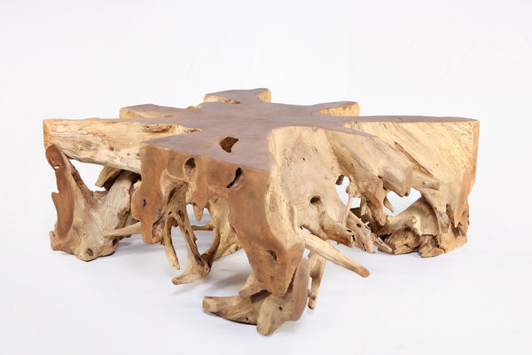 Square 36" Inch Organic Teak Root Coffee Table 55