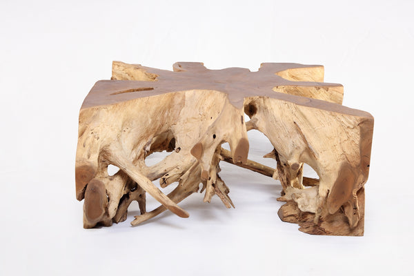 Square 36" Inch Organic Teak Root Coffee Table 55