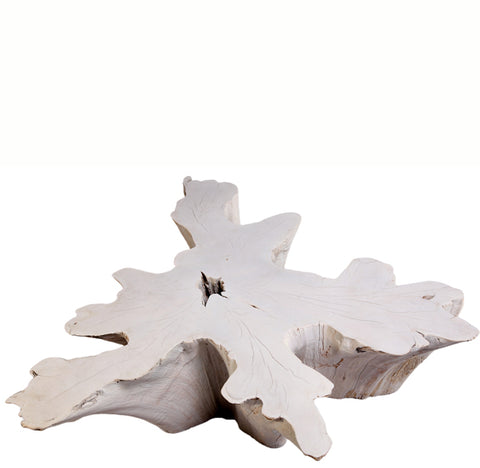 Organic Teak Root Coffee Table 68-White Wash