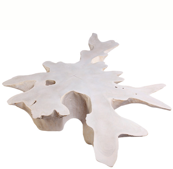 Organic 81" Inch Wide Teak Root Coffee Table 71-White Wash