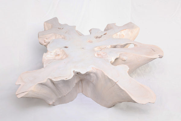 Organic Teak Root Coffee Table 74-White Wash