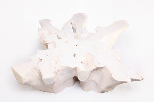 Organic Teak Root Coffee Table 74-White Wash