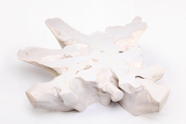 Organic Teak Root Coffee Table 74-White Wash