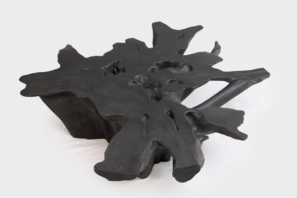 Black Burnt Organic Teak Root  Coffee Table 75