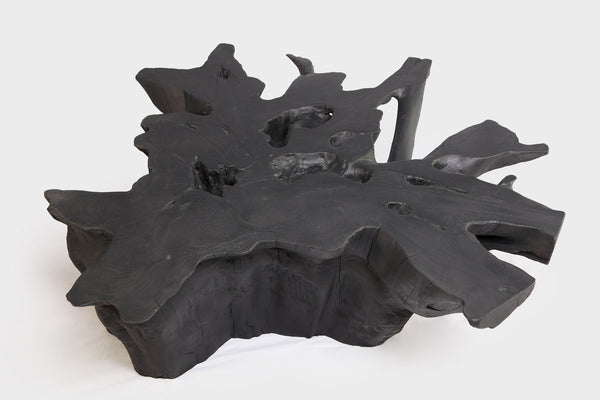 Black Burnt Organic Teak Root  Coffee Table 75