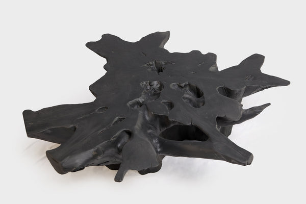 Black Burnt Organic Teak Root  Coffee Table 75