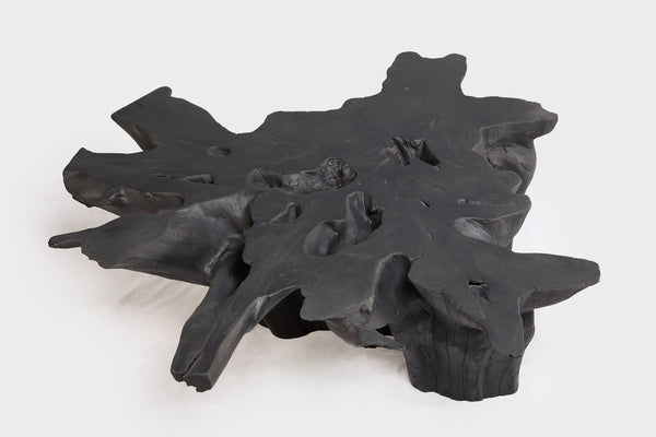 Black Burnt Organic Teak Root  Coffee Table 75