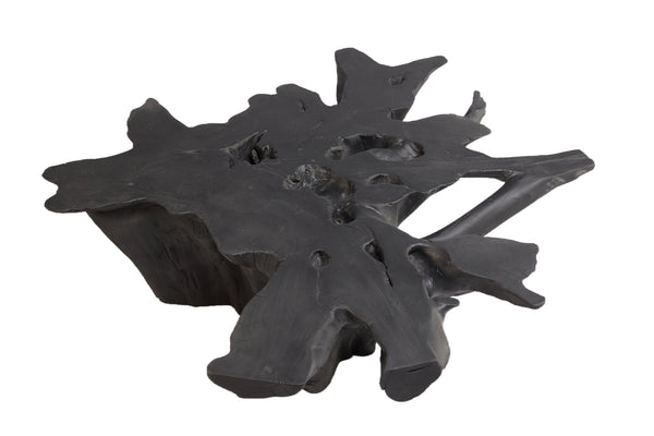 Black Burnt Organic Teak Root  Coffee Table 75