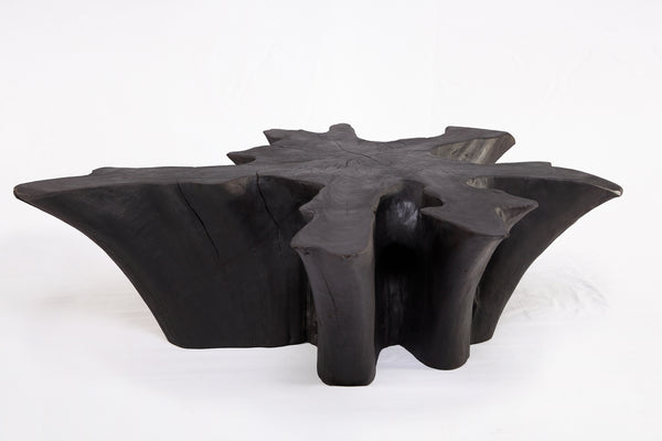 Black Burnt Organic Teak Root  Coffee Table 78