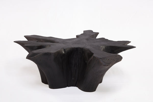 Black Burnt Organic Teak Root  Coffee Table 78