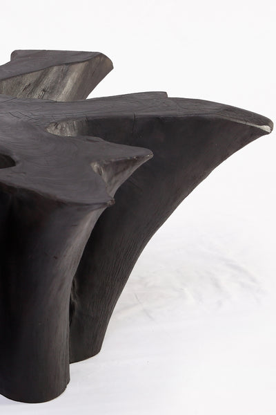 Black Burnt Organic Teak Root  Coffee Table 78