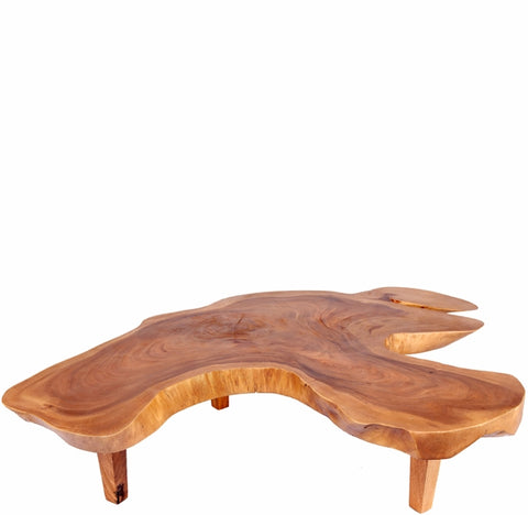 Free Form One Slab Living Edge Coffee Table 8