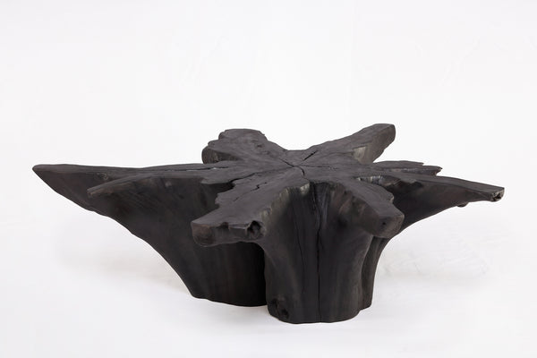 Black Burnt Organic Teak Root  Coffee Table 81