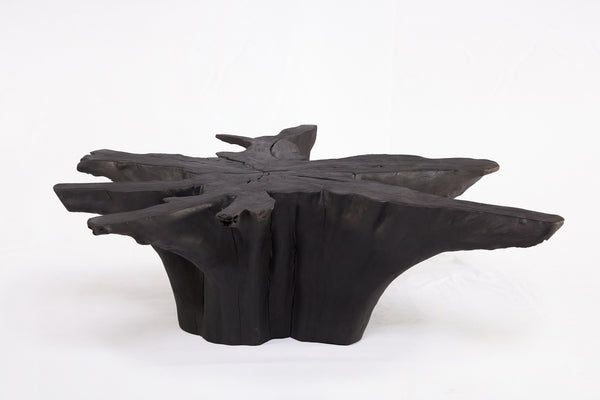 Black Burnt Organic Teak Root  Coffee Table 81