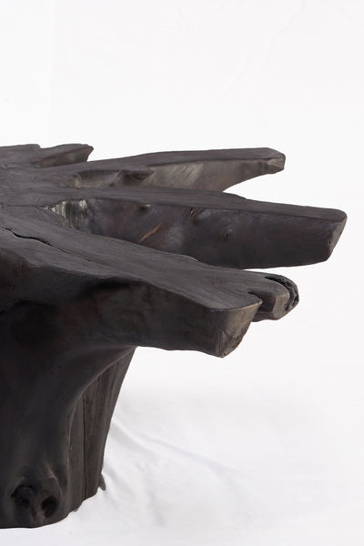 Black Burnt Organic Teak Root  Coffee Table 81