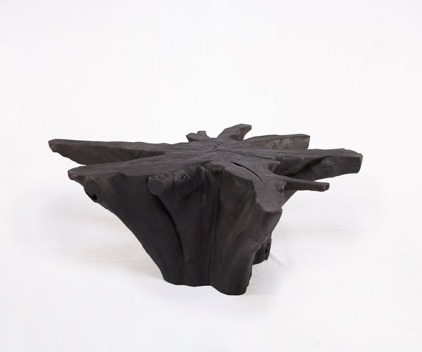 Black Burnt Organic Teak Root  Coffee Table 81