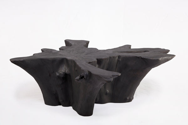 Black Burnt Organic Teak Root  Coffee Table 84