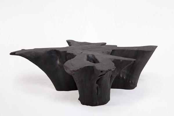Black Burnt Organic Teak Root  Coffee Table 84