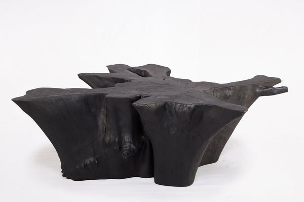 Black Burnt Organic Teak Root  Coffee Table 84