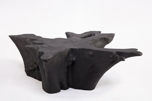 Black Burnt Organic Teak Root  Coffee Table 84