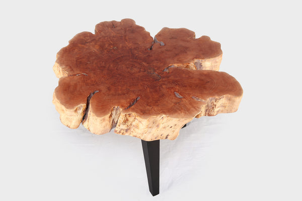 Modern Lychee Living Edge Coffee Table 98