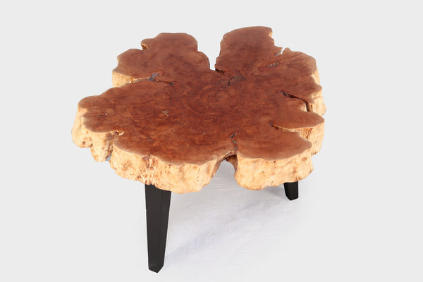 Modern Lychee Living Edge Coffee Table 98