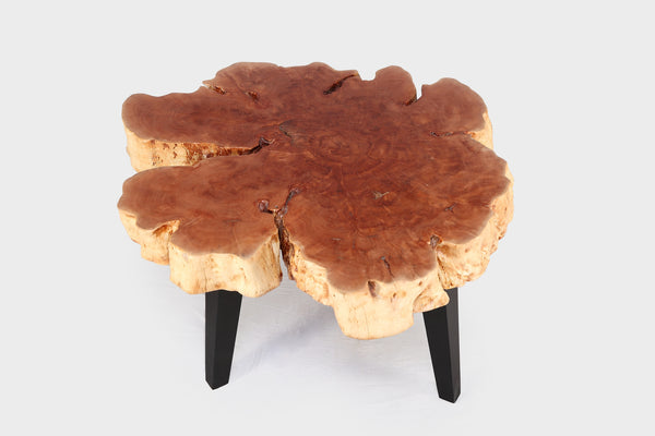 Modern Lychee Living Edge Coffee Table 98