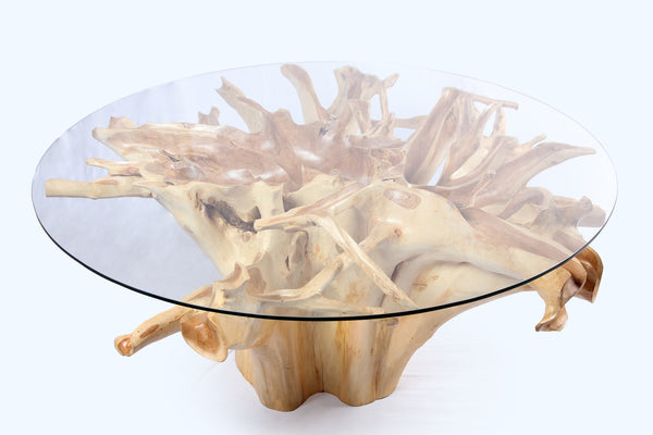 Round Teak Root Dining Table 4