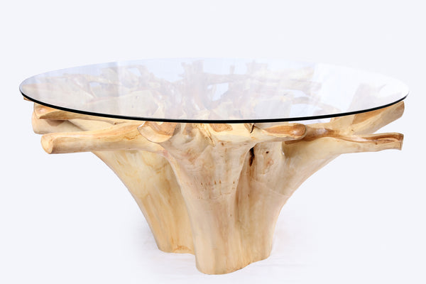 Round Teak Root Dining Table 4