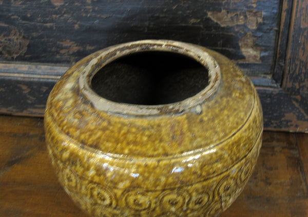 Golden Coins Pottery 1 - Dyag East