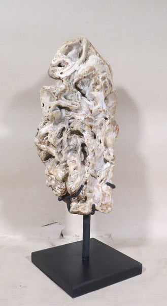 Fossil Scholar Stone - Dyag East