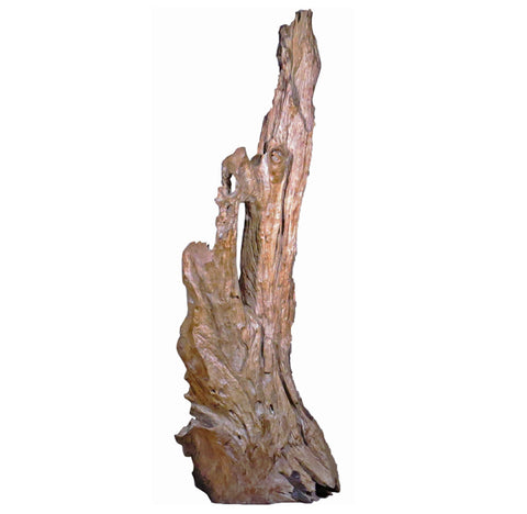 Organic Teak Root Sculpture 3 - Dyag East