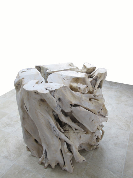Large Organic Teak Root Sculpture 1