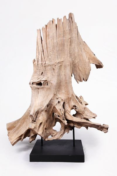 Organic Teak Root Sculpture- 53" Inch Tall