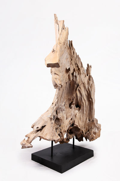 Organic Teak Root Sculpture- 53" Inch Tall
