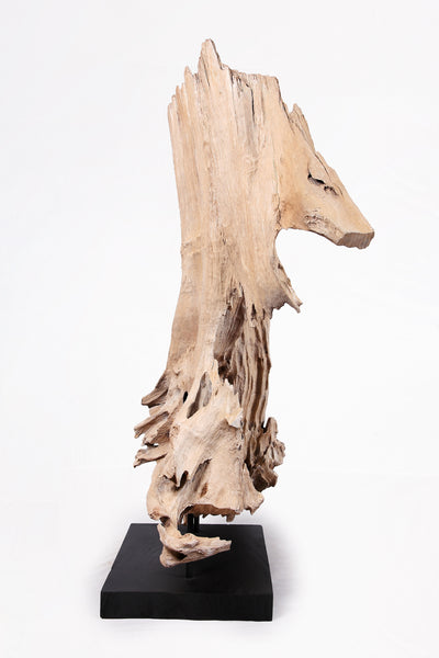 Organic Teak Root Sculpture- 53" Inch Tall