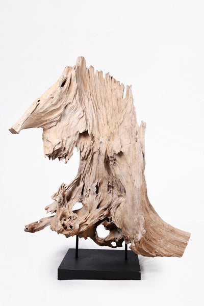 Organic Teak Root Sculpture- 53" Inch Tall
