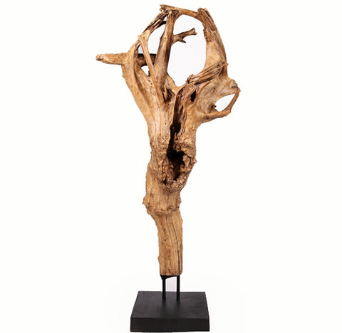 Z-Organic Teak Root Sculpture- 61" Inch Tall