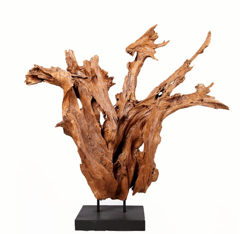 Organic Teak Root Sculpture- 61" Inch Tall