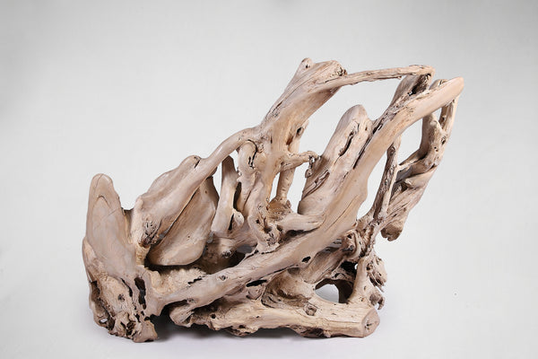 Modern Free Form Teak Root Chair/Bench 29