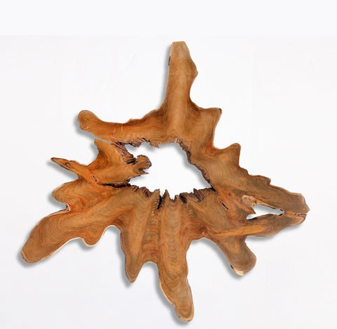 Organic Teak Root Sculpture Wall Art 14