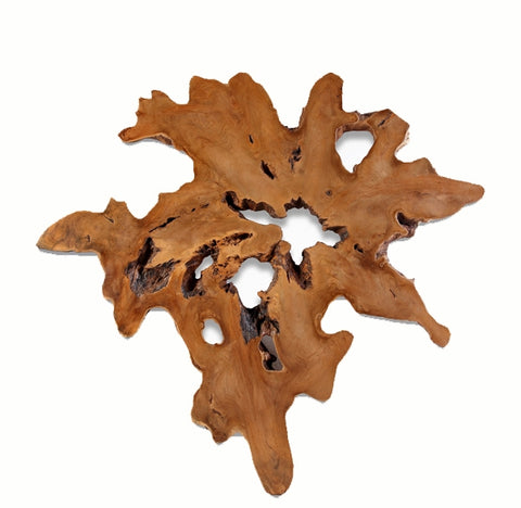 Organic Teak Root Sculpture Wall Art 15