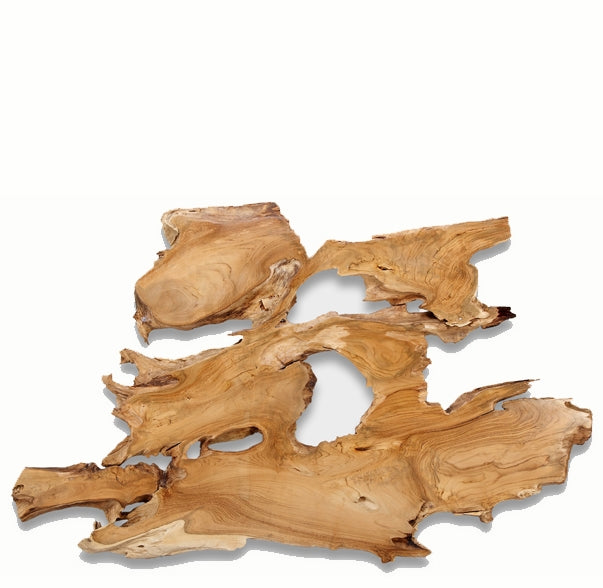 Organic Teak Root Sculpture Wall Art 16